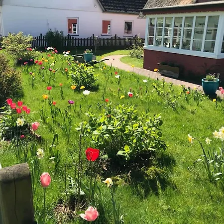 Apartament Hues Sanskiin *fiiwfut*