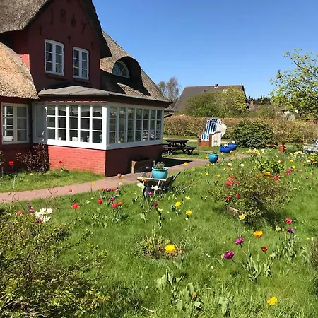 Hues Sanskiin *fiiwfut* * Suddorf