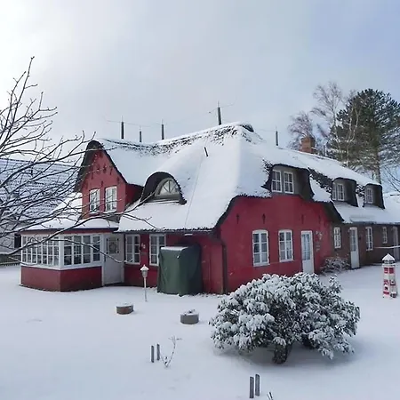 Hues Sanskiin *fiiwfut* * Suddorf