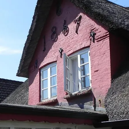 Hues Sanskiin *fiiwfut* * Suddorf