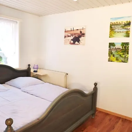 Hues Sanskiin *fiiwfut* *