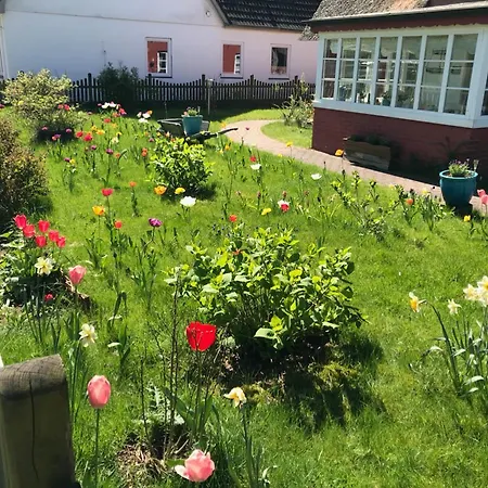 Hues Sanskiin *fiiwfut* Suddorf