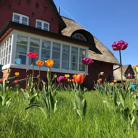 Apartament Hues Sanskiin *fiiwfut*