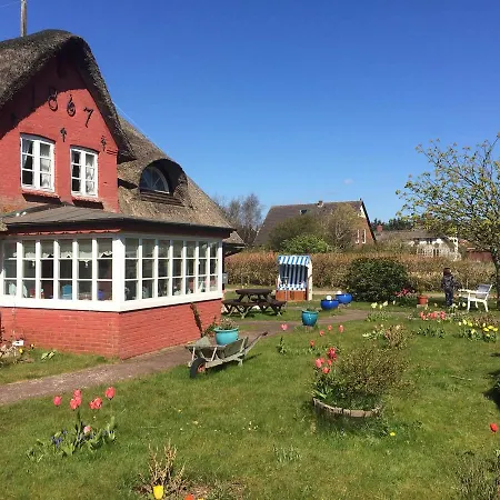 Hues Sanskiin *fiiwfut* *